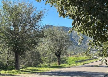 Foto 5 - Terreno edificabile Via Monte Narba, San Vito - foto 5