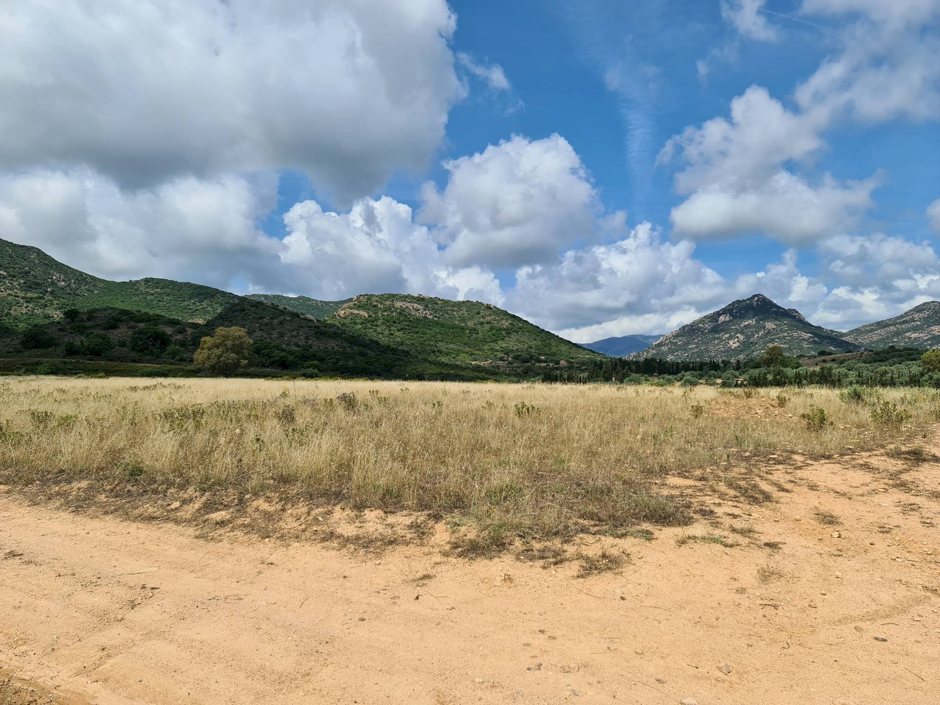 Foto 3 - Terreno agricolo San Vito - foto 3