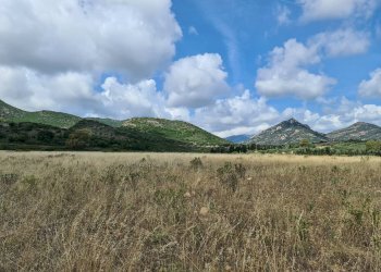 Foto 1 - Terreno agricolo San Vito - foto 1