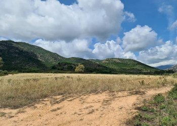 Foto 2 - Terreno agricolo San Vito - foto 2