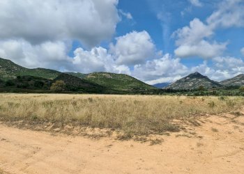 Foto 3 - Terreno agricolo San Vito - foto 3