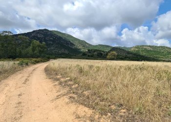 Foto 4 - Terreno agricolo San Vito - foto 4