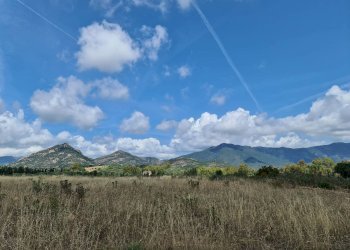 Foto 5 - Terreno agricolo San Vito - foto 5