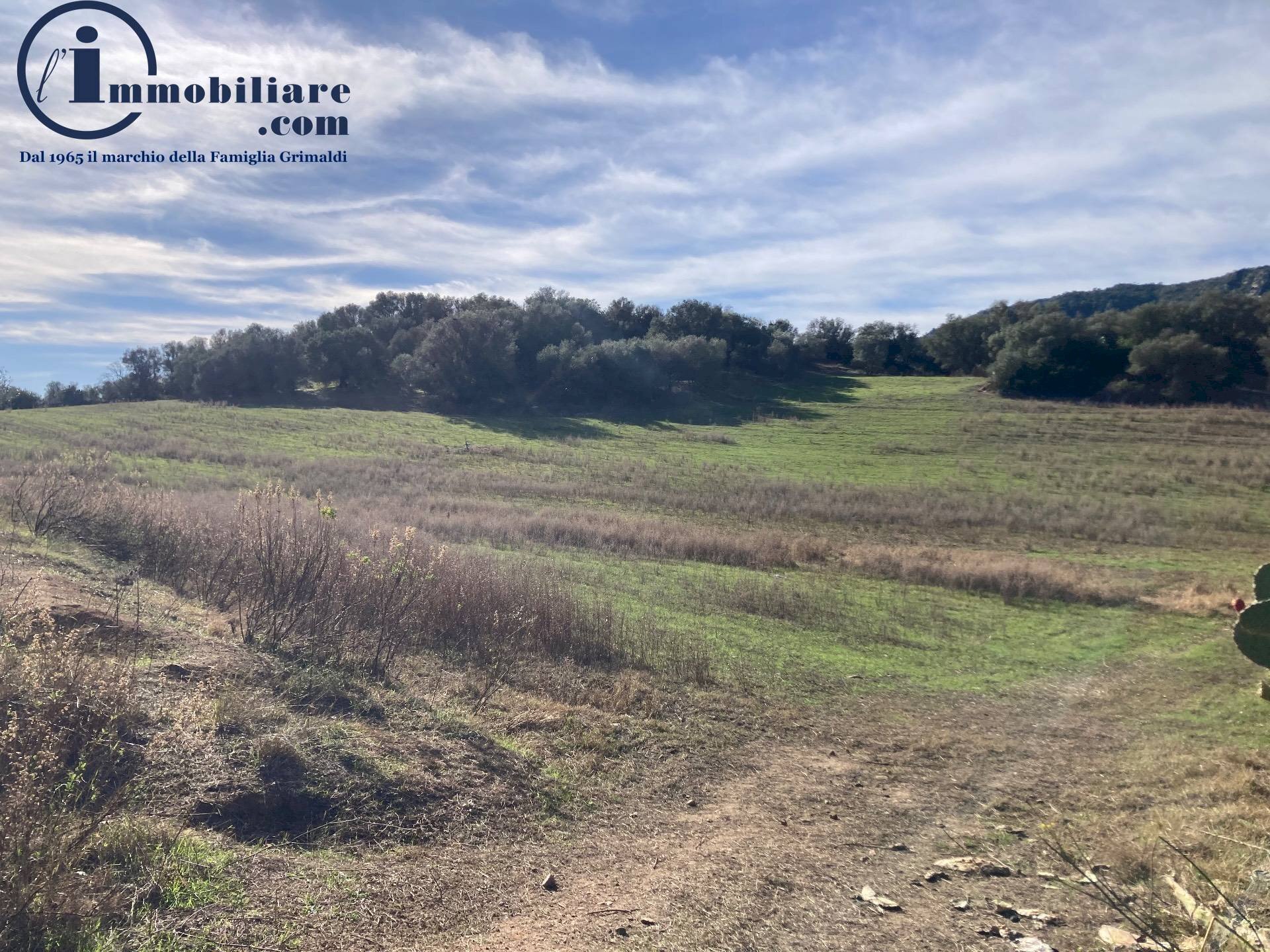 Foto 1 - Agricultural land Vecchia strada comunale Tortoli' Barisardo, Tortolì - photo 1