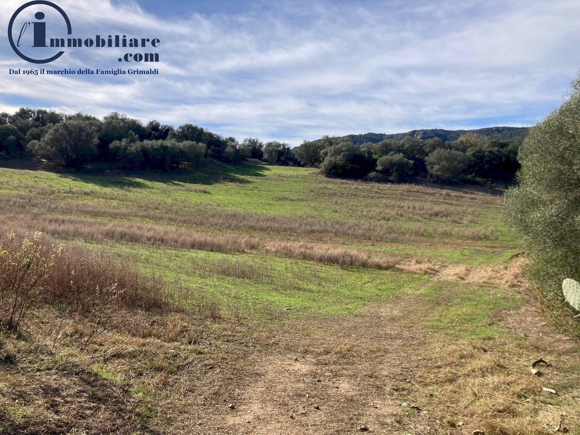 Foto 2 - Agricultural land Vecchia strada comunale Tortoli' Barisardo, Tortolì - photo 2