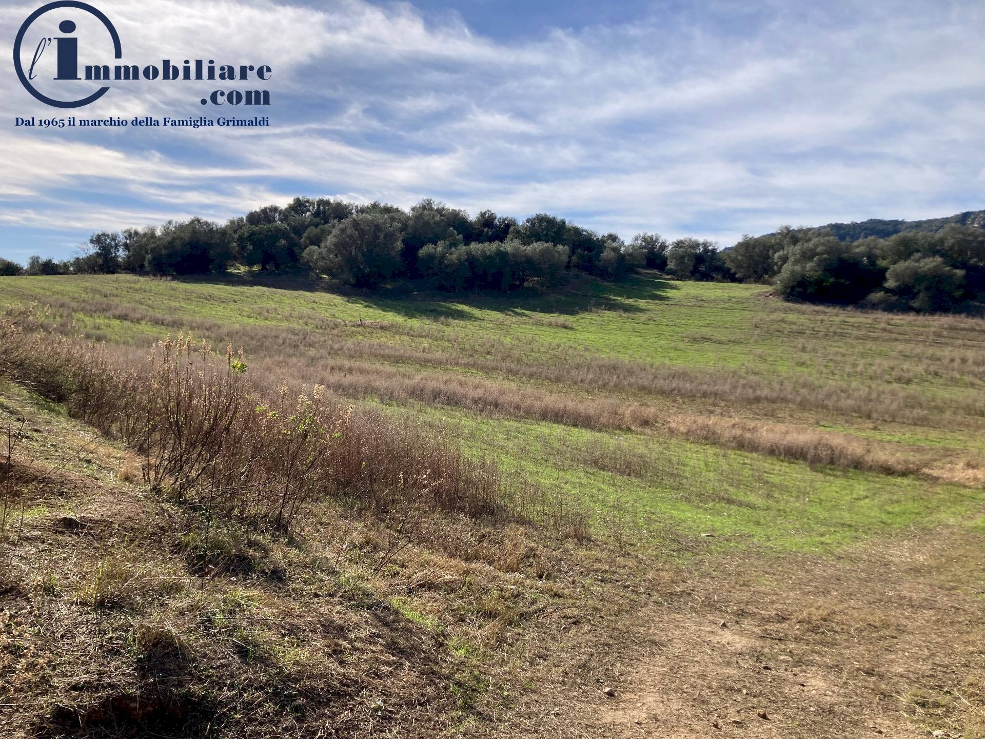 Foto 3 - Agricultural land Vecchia strada comunale Tortoli' Barisardo, Tortolì - photo 3