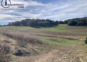 Foto 1 - Agricultural land Vecchia strada comunale Tortoli' Barisardo, Tortolì - photo 1