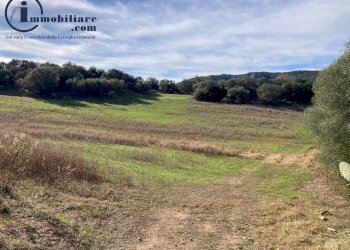 Foto 2 - Agricultural land Vecchia strada comunale Tortoli' Barisardo, Tortolì - photo 2