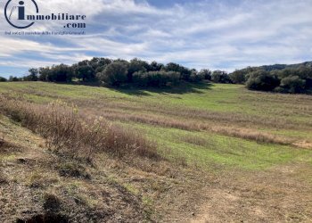 Foto 3 - Agricultural land Vecchia strada comunale Tortoli' Barisardo, Tortolì - photo 3