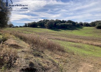 Foto 4 - Agricultural land Vecchia strada comunale Tortoli' Barisardo, Tortolì - photo 4