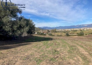 Foto 9 - Agricultural land Vecchia strada comunale Tortoli' Barisardo, Tortolì - photo 9