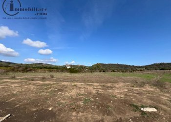 Foto 2 - Terreno agricolo Località Monigorgiu, Tortolì - foto 2