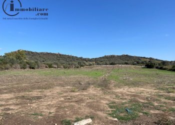 Foto 4 - Terreno agricolo Località Monigorgiu, Tortolì - foto 4