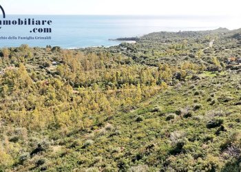 Foto 2 - Agricultural land Foxilioni, Tortolì - photo 2