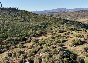 Foto 10 - Terreno edificabile località Orrì, Tortolì - foto 10