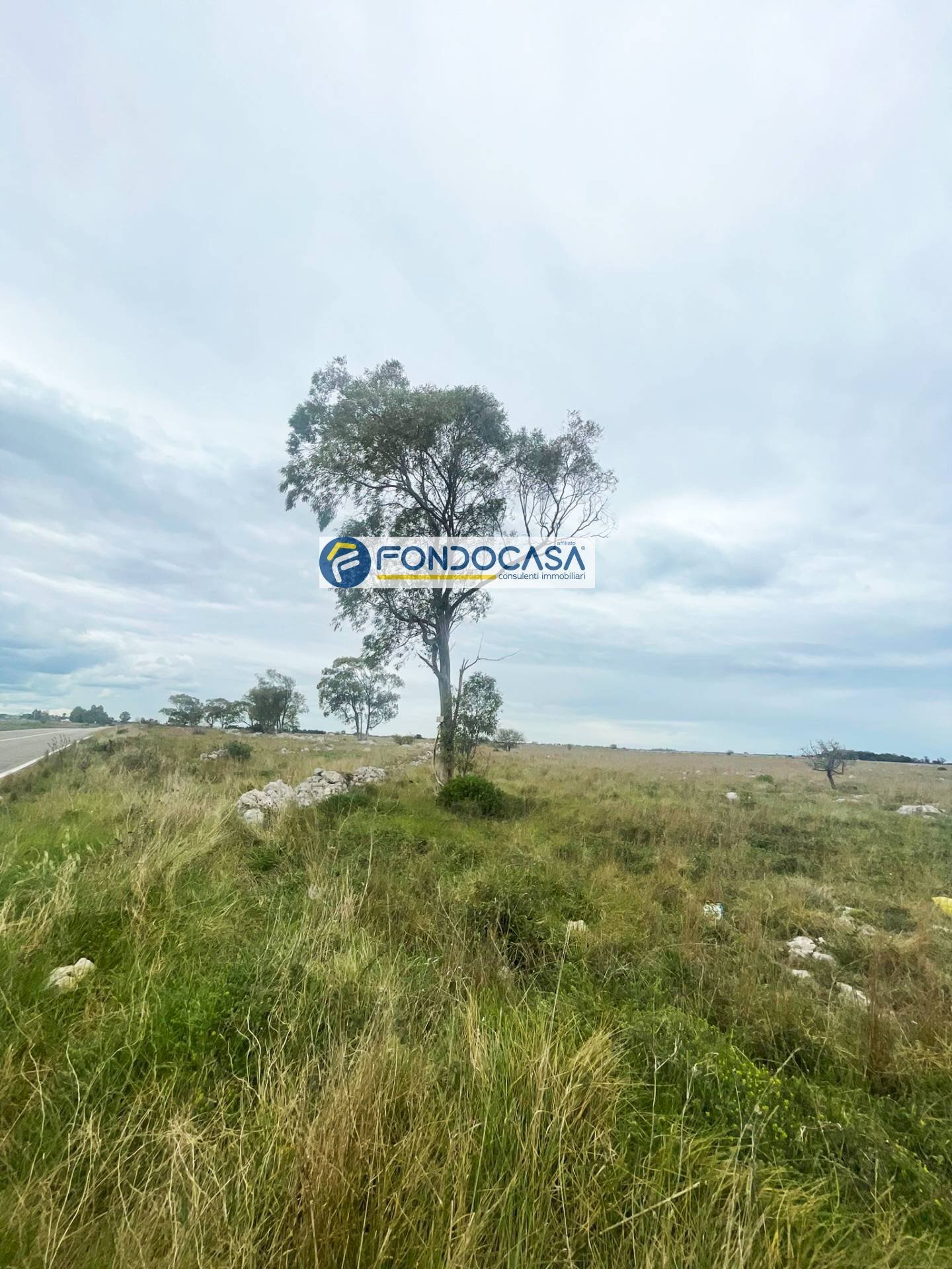 Foto 1 - Terreno edificabile SP 298
 
SNC, Lecce - foto 1