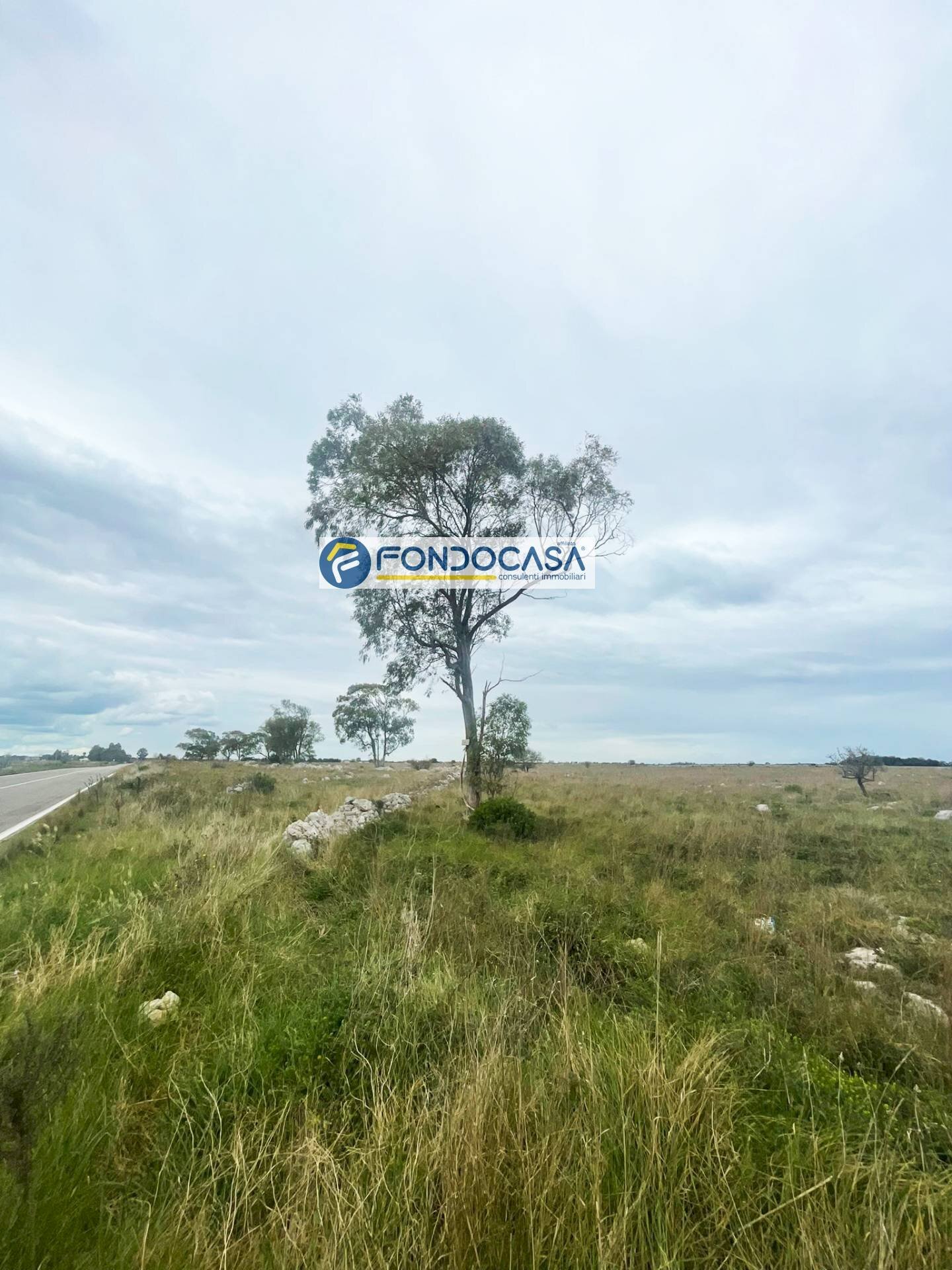 Foto 2 - Terreno edificabile SP 298
 
SNC, Lecce - foto 2