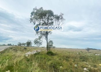 Foto 1 - Terreno edificabile SP 298
 
SNC, Lecce - foto 1