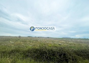 Foto 3 - Terreno edificabile SP 298
 
SNC, Lecce - foto 3