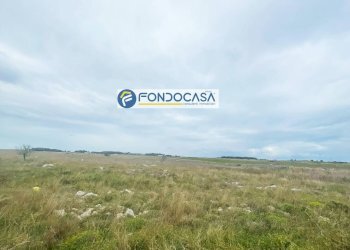 Foto 4 - Terreno edificabile SP 298
 
SNC, Lecce - foto 4