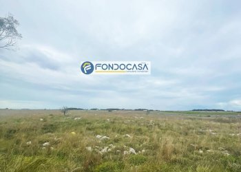 Foto 5 - Terreno edificabile SP 298
 
SNC, Lecce - foto 5