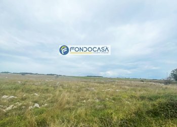 Foto 6 - Terreno edificabile SP 298
 
SNC, Lecce - foto 6