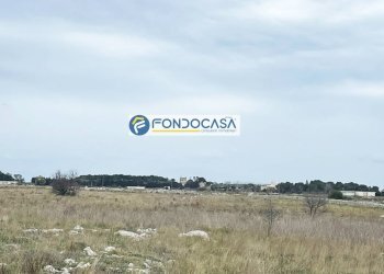 Foto 7 - Terreno edificabile SP 298
 
SNC, Lecce - foto 7