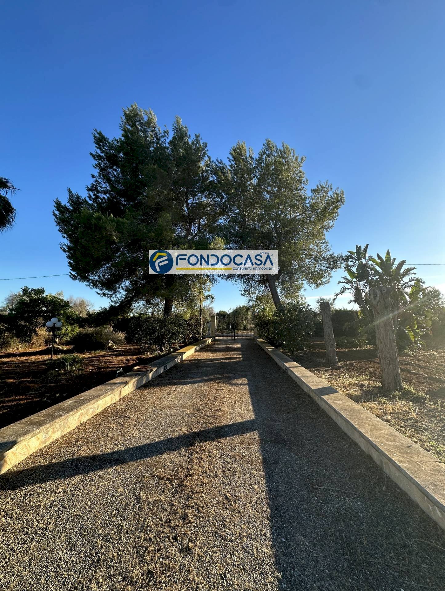 Foto 2 - Villa Contrada Zambardo
 
snc, San Vito dei Normanni - foto 2