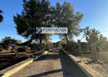 Foto 2 - Villa Contrada Zambardo
 
snc, San Vito dei Normanni - foto 2