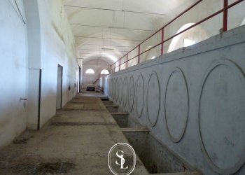 Foto 5 - Commercial Premises Giuseppe Mazzini
10, Squinzano - photo 5