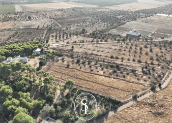 vista - Villa Agnano, Nardò - foto 20