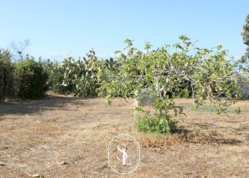 giardino - Villa Agnano, Nardò - foto 24