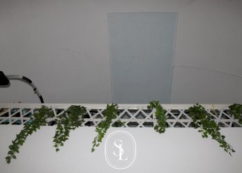 Foto 56 - Villa Agnano, Nardò - foto 56