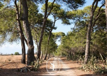 Foto 4 - Villa Agnano, Nardò - photo 4