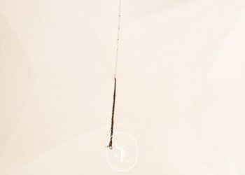 Foto 14 - Appartamento Casale
 
15, Nardò - foto 14