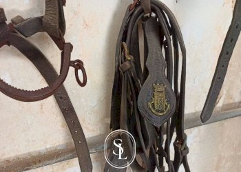 Foto 11 - Appartamento Lata, Nardò - foto 11