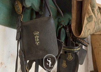 Foto 13 - Appartamento Lata, Nardò - foto 13