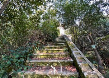 giardino - Villa Vecchia Com.le Corigliano-Maglie, Maglie - foto 4