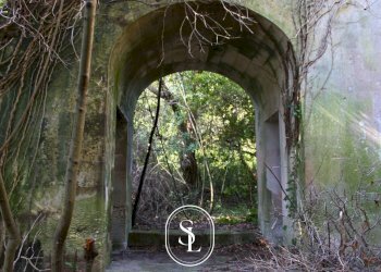 giardino - Villa Vecchia Com.le Corigliano-Maglie, Maglie - foto 7