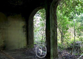 giardino - Villa Vecchia Com.le Corigliano-Maglie, Maglie - foto 30