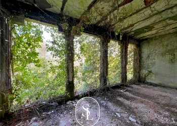 giardino - Villa Vecchia Com.le Corigliano-Maglie, Maglie - foto 46