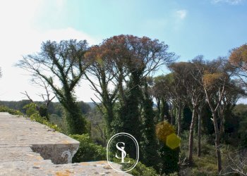 Foto 50 - Villa Vecchia Com.le Corigliano-Maglie, Maglie - foto 50