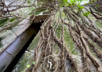 Foto 52 - Villa Vecchia Com.le Corigliano-Maglie, Maglie - foto 52