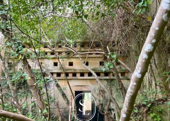 Foto 53 - Villa Vecchia Com.le Corigliano-Maglie, Maglie - foto 53