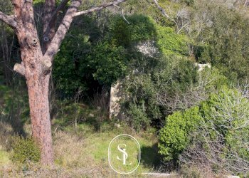 giardino - Villa Vecchia Com.le Corigliano-Maglie, Maglie - foto 54