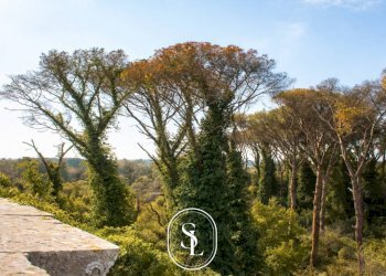 Foto 32 - Villa Vecchia Com.le Corigliano-Maglie, Maglie - foto 32