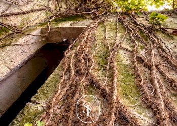 Foto 34 - Villa Vecchia Com.le Corigliano-Maglie, Maglie - foto 34