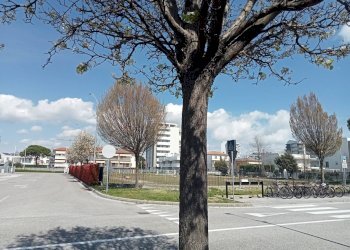 Foto 4 - Bilocale via padova, Jesolo - foto 4