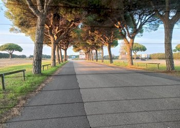 Foto 8 - Villa a Schiera via cigno bianco, Jesolo - foto 8