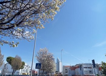 Foto 7 - Appartamento NEMBER, Jesolo - foto 7